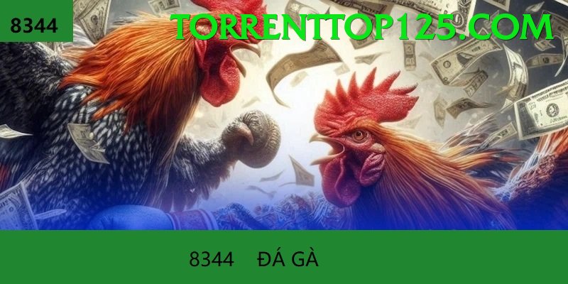 Đá Gà Trực Tiếp - kl99