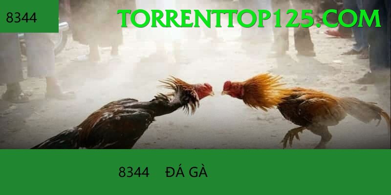 Cách Đọc Kèo Đá Gà